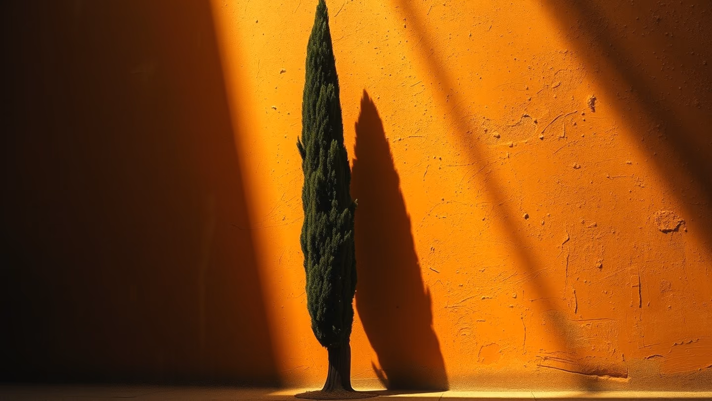 Silhouette of a tall, thin cypress tree casting a long, curved shadow against a textured clay wall, appearing to cower away from the viewer.