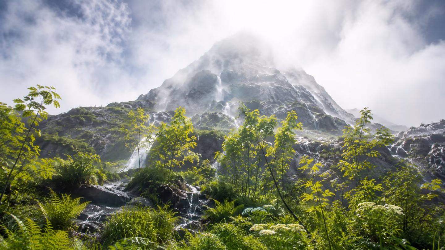 Intimate medium shot looking upward from the base of a newly risen Iranian mountain — rough granite flanks slick with fresh spring water cascading down in silver ribbons, and young green vegetation — grass, fern, sapl…