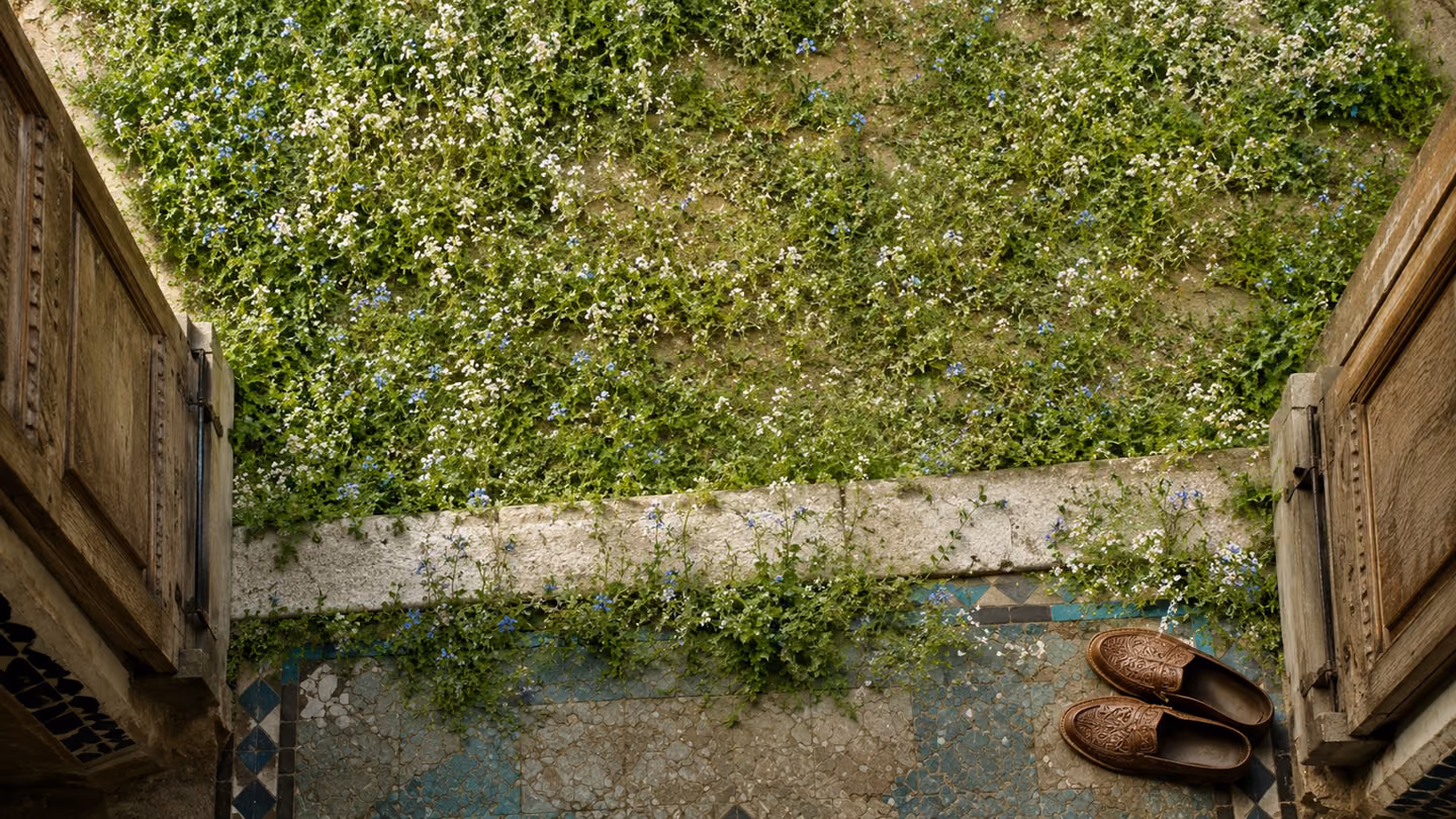 Overhead wide shot looking straight down onto a Persian courtyard threshold: the stone step and the earth just beyond it are covered in a carpet of vivid green grass and tiny white and blue wildflowers growing upward…