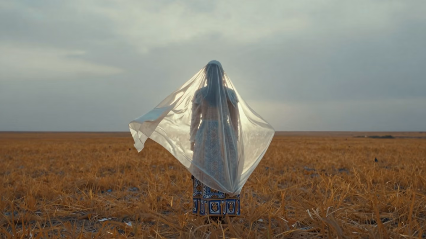 A translucent silk veil lifting and billowing in the wind on the open plain, brilliant silver-white light pouring through it from beyond — the Beloved present only as light, the lover but a thin veil before it.