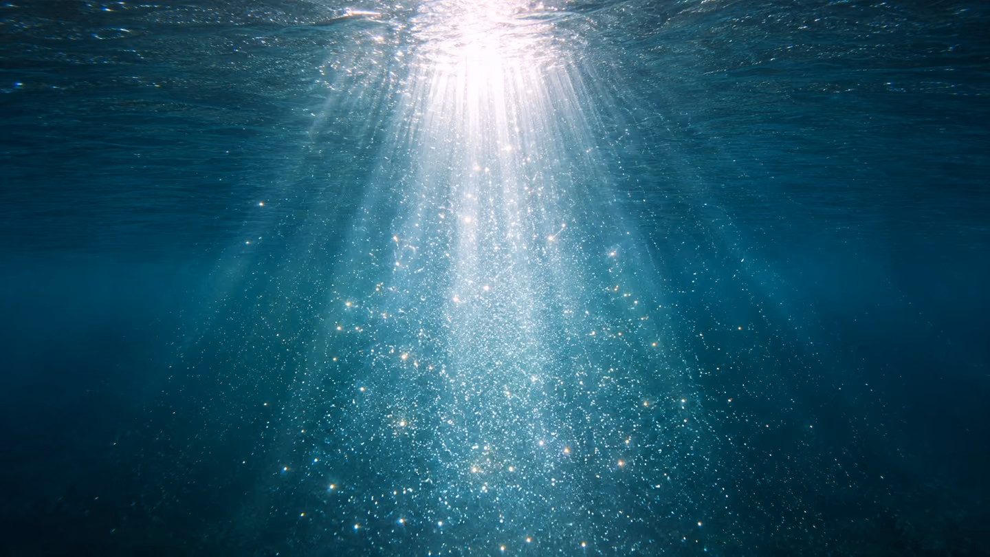 Looking straight down into clear water, a broad column of white radiance descends, and where it lands the water itself kindles into points of brilliance — the light is MAKING them, they were not lying there waiting to…