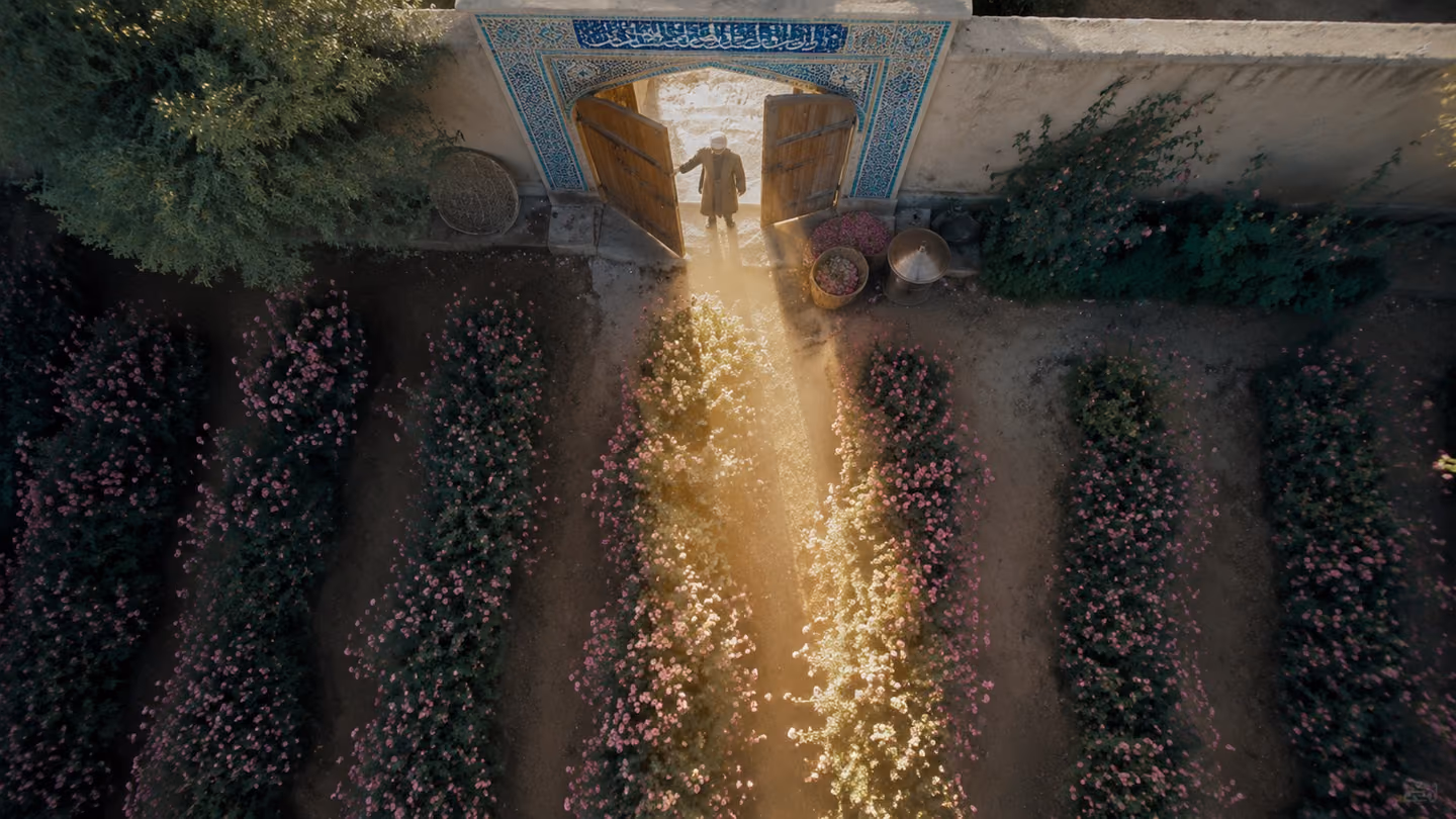 Morning sun enters through a thrown-open double gate of a Kashan rose garden at picking time, one clean shaft crossing the dusty-pink rows so brightly that the roses inside it lose their colour to it; the householder…
