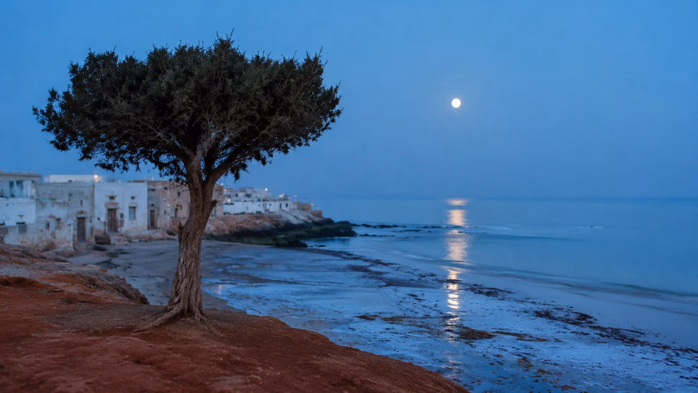 A solitary cypress on red soil above the shoreline at cool blue pre-dawn, and below it the tide sliding out, carrying and returning shells and seaweed across the wet sand in long slow strokes.