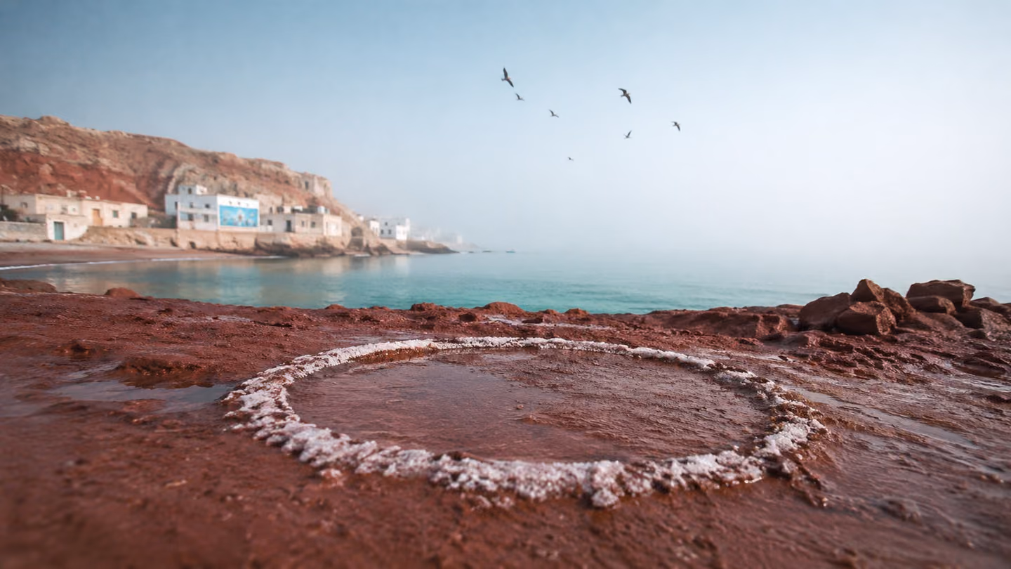 Birds climb into a seamless white-blue winter haze where the Gulf and the sky share one colour and no horizon can be found.